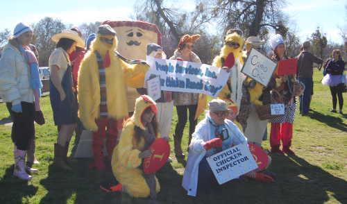 022115polarplungechickgroup