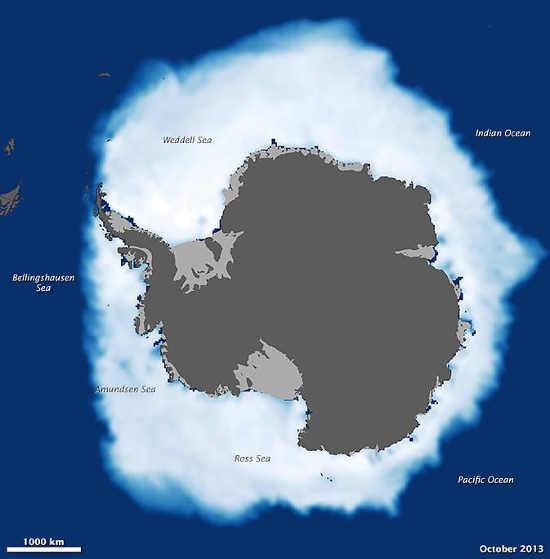 arcticicestudy