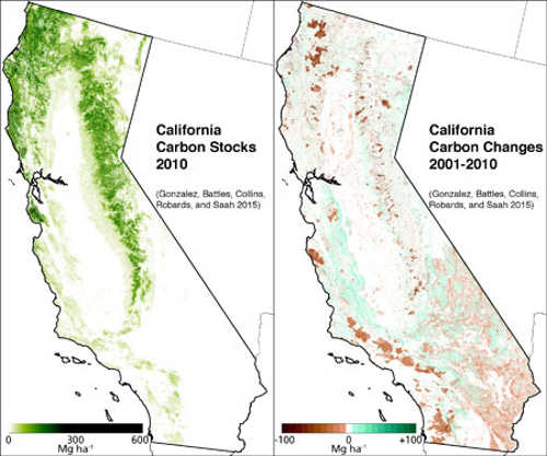 californiacarbonstocks