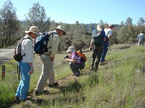 042212wildflowerhikers