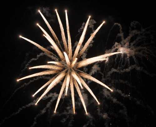 070413bishopfireworks4