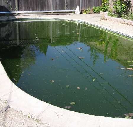 wnvgreenpool