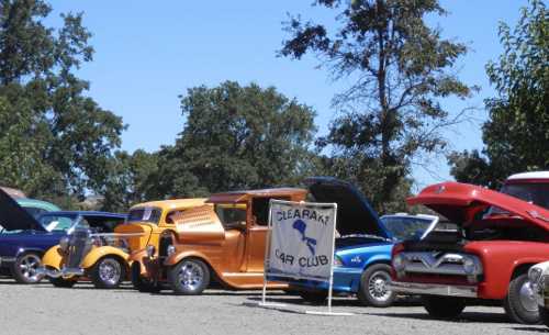 083113carshowlineup2small