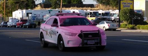 080916montanaschobertpinksheriffcar