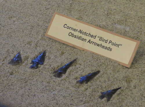 scavonebirdpointarrowheads