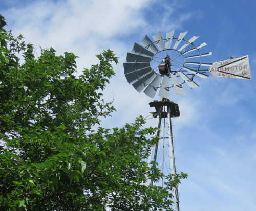 scavonehvlwindmill