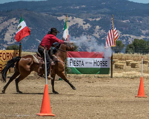 2016fiestahorseshooting